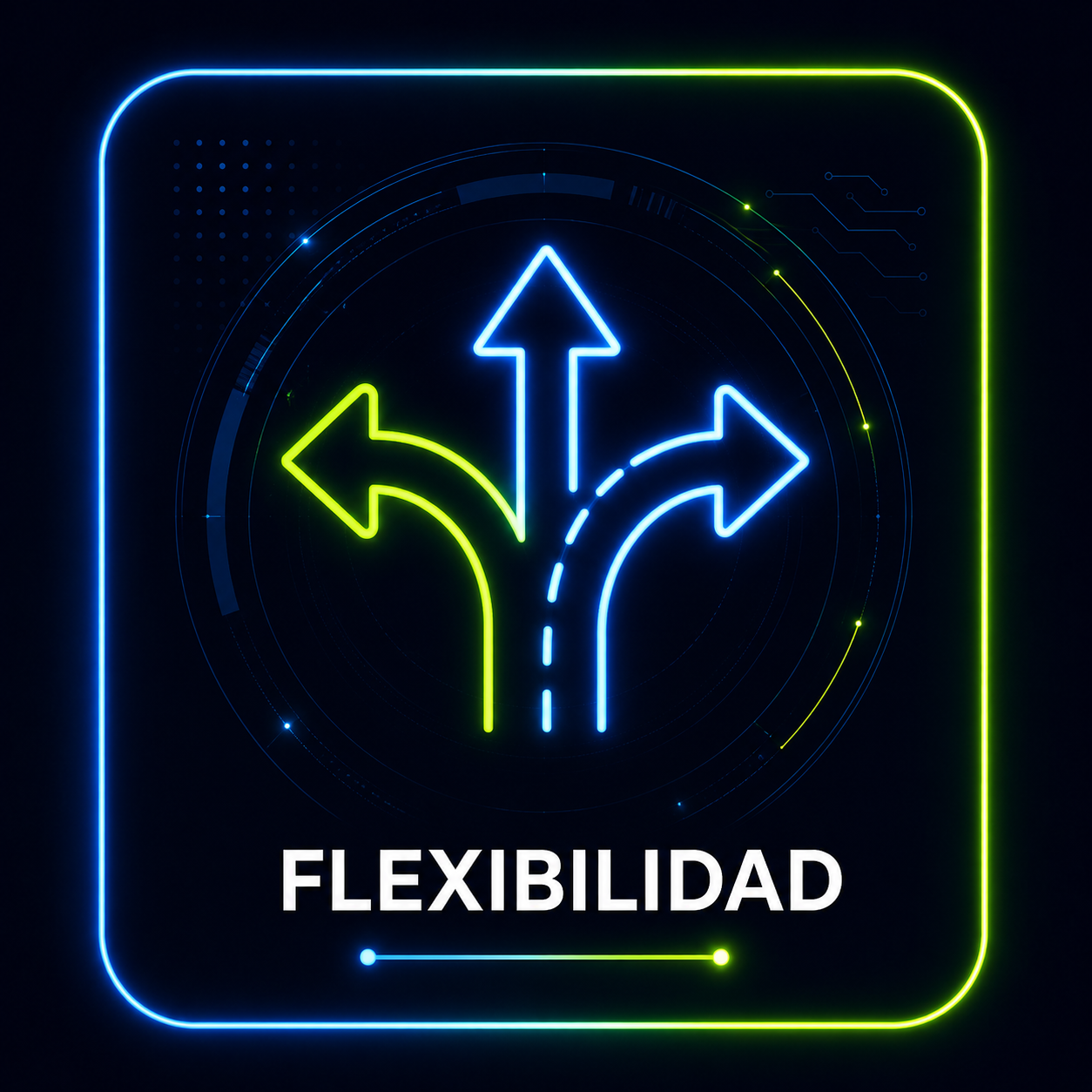 Flexibilidad